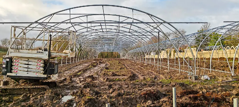 Vue aérienne de serres tunnel